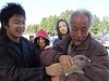 img003_thumb.png