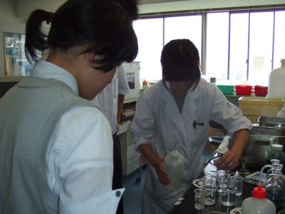 img05.jpg